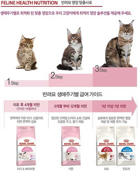 고양이 사료 추천 6개월~1년 이하 키튼용 (강력추천) 210215_1_로얄캐닌-3-min
