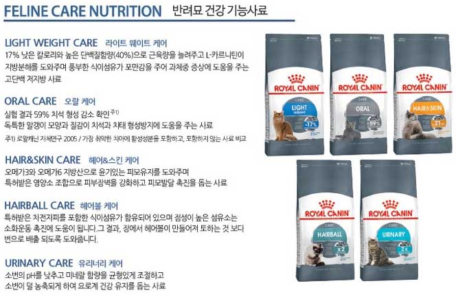 고양이 사료 추천 6개월~1년 이하 키튼용 (강력추천) 고양이 사료 추천 로얄캐닌-1