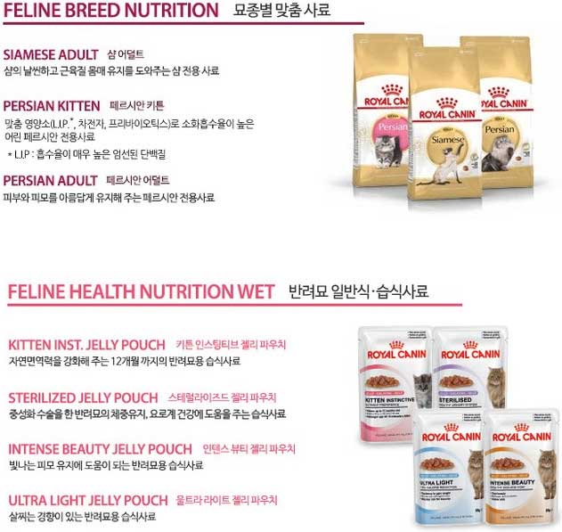고양이 사료 추천 6개월~1년 이하 키튼용 (강력추천) 고양이 사료 추천 로얄캐닌-1