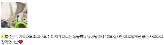 고양이 사료 추천 6개월~1년 이하 키튼용 (강력추천) 210215_1_로얄캐닌-7-min